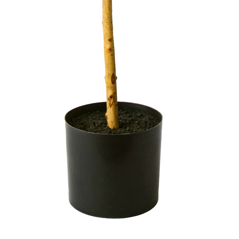 Faux Olive Tree in Pot