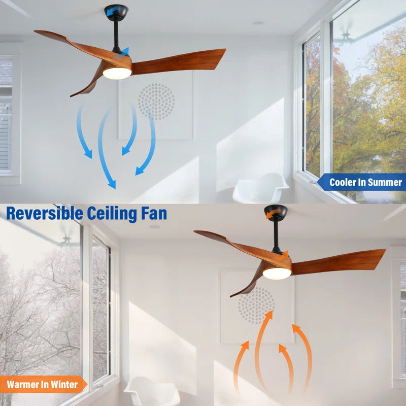 Kemp 52'' Ceiling Fan with LED Lights