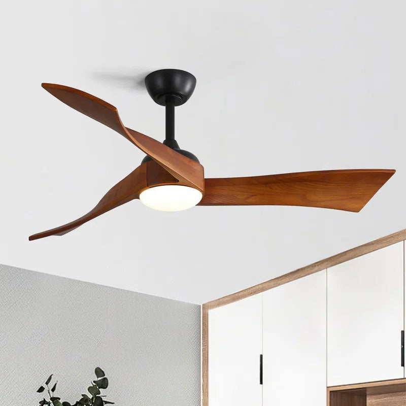 Kemp 52'' Ceiling Fan with LED Lights