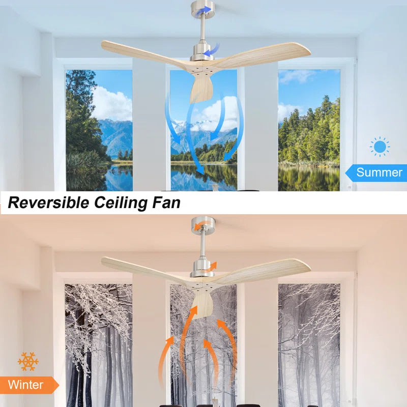 Nicola 52'' Ceiling Fan