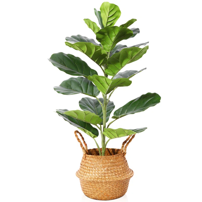 Adcock Artificial Fiddle Leaf Fig Plant in Basket, Faux Green Plant, Fake Tree for Home Décor