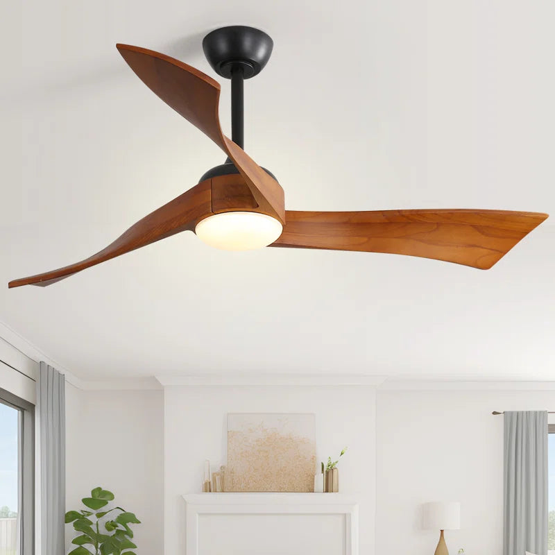 Kemp 52'' Ceiling Fan with LED Lights