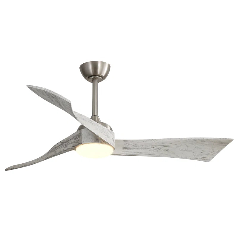 Kemp 52'' Ceiling Fan with LED Lights