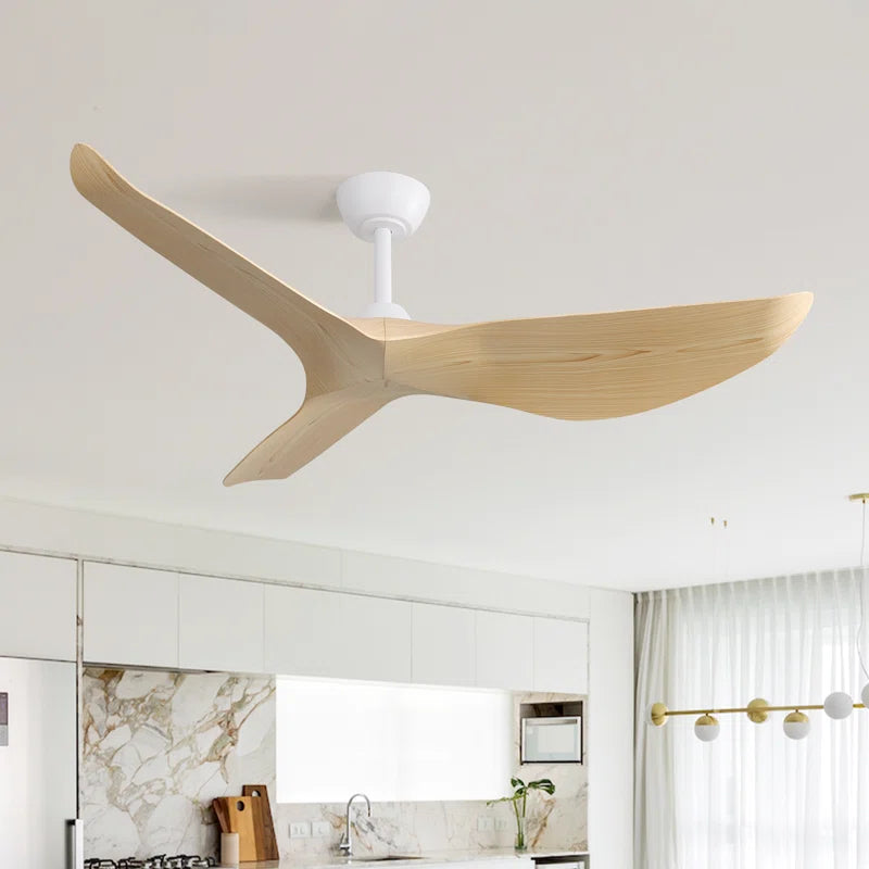 Kemp 52'' Ceiling Fan