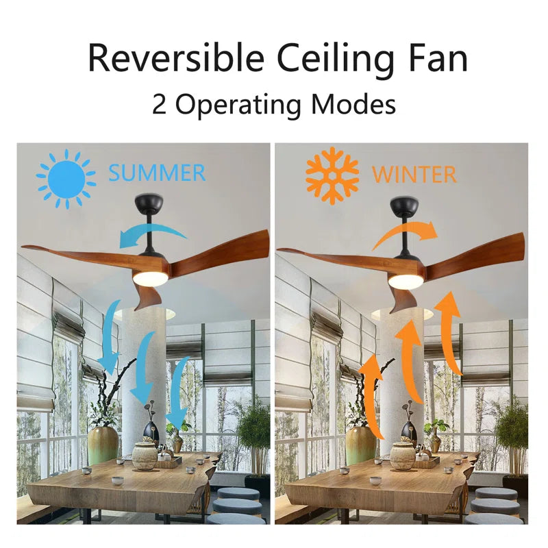 Kemp 52'' Ceiling Fan with LED Lights