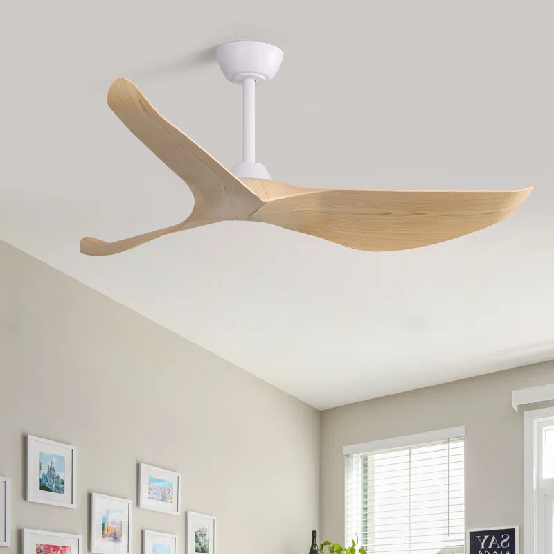 Kemp 52'' Ceiling Fan